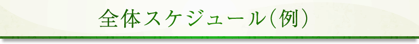 全体スケジュール(例)