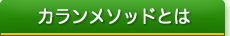 説明